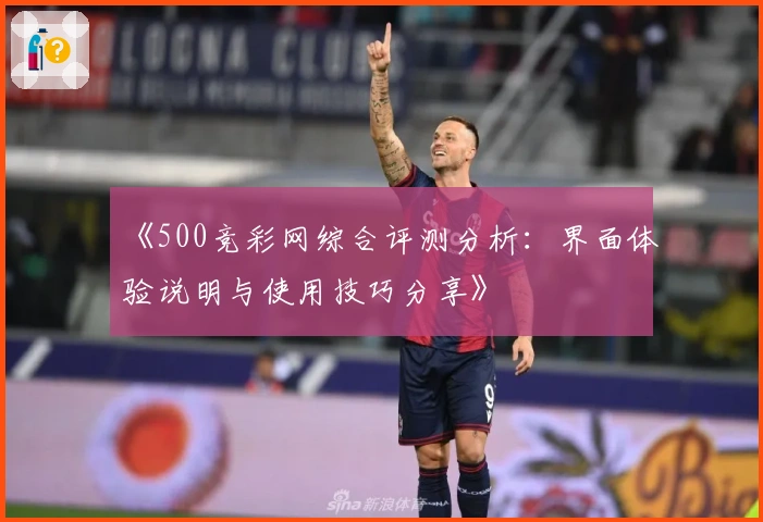 《500竞彩网综合评测分析：界面体验说明与使用技巧分享》