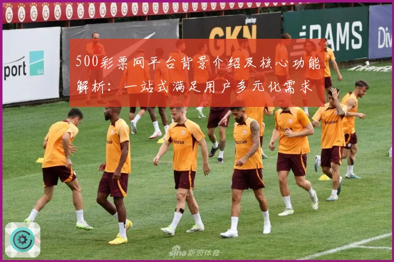 500彩票网平台背景介绍及核心功能解析：一站式满足用户多元化需求